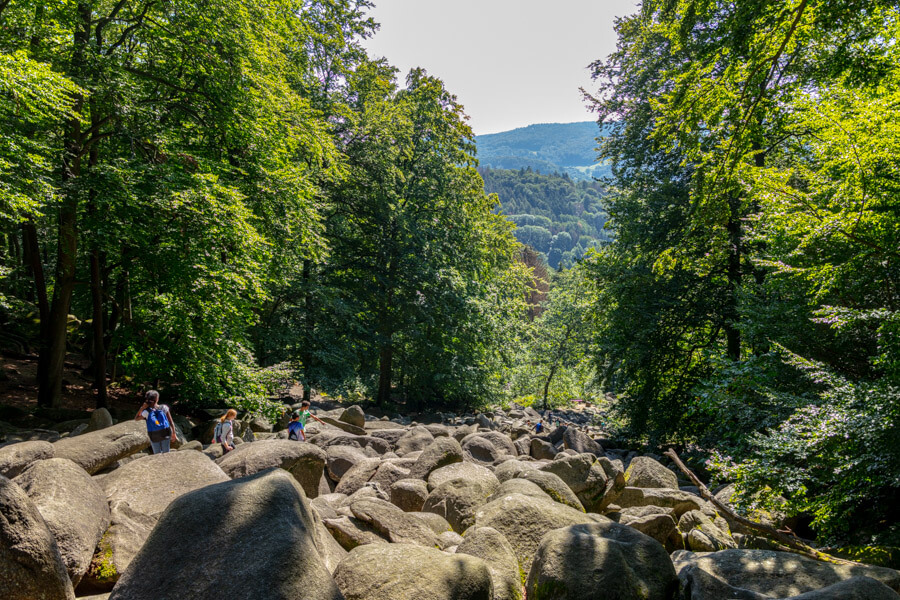 Read more about the article Ausflug ins Felsenmeer im Odenwald