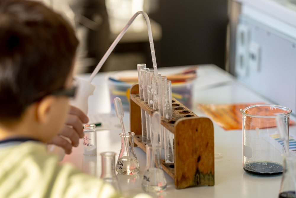 Read more about the article Ein Tag voller Entdeckungen: Die Elly-Heuss-Schule öffnet ihre Türen