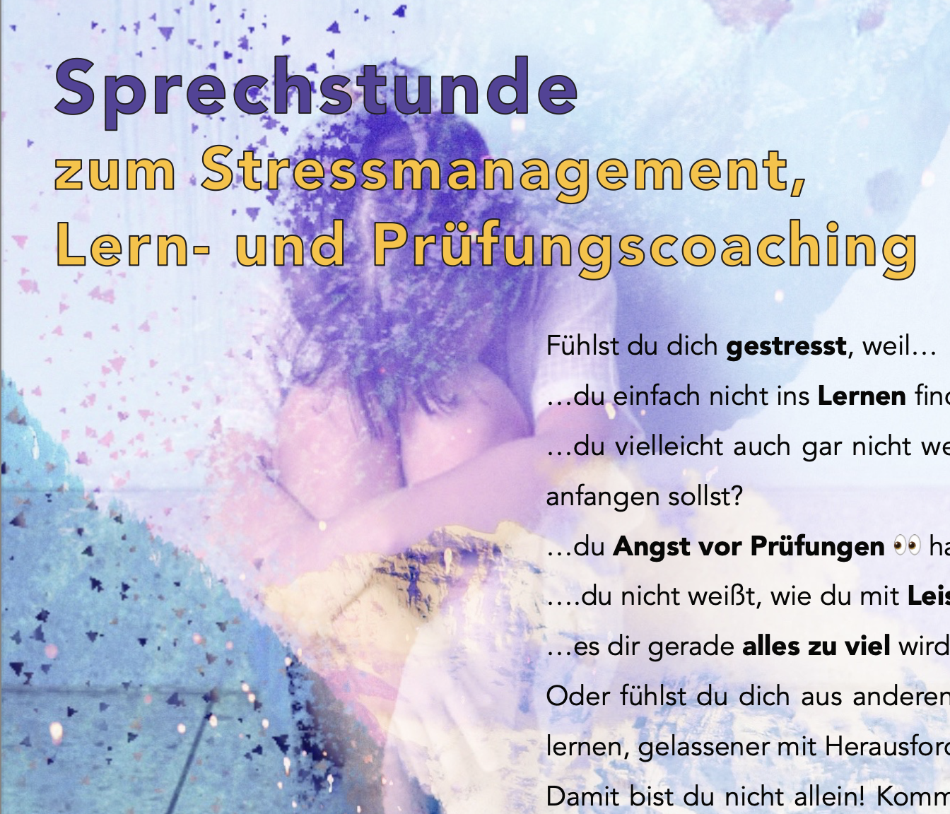 Read more about the article Sprechstunde zum Stressmanagement, Lern- und Prüfungscoaching