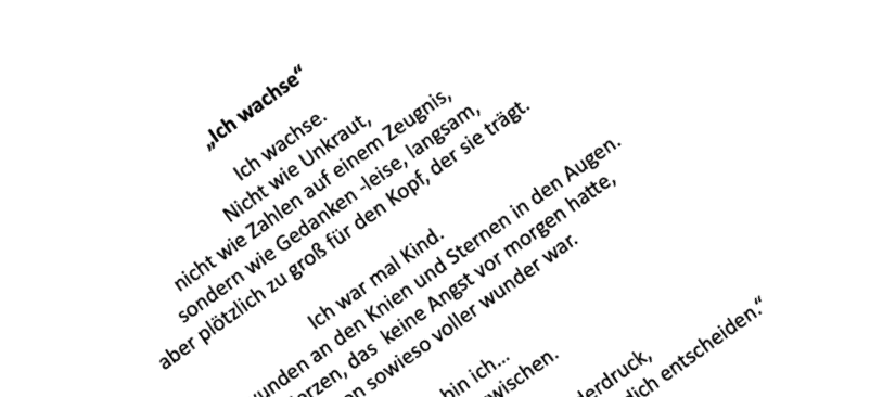 Read more about the article Lea Weygandt  erreicht mit Poetry-Slam 2. Platz beim Wiesbadener Konell-Förderpreis