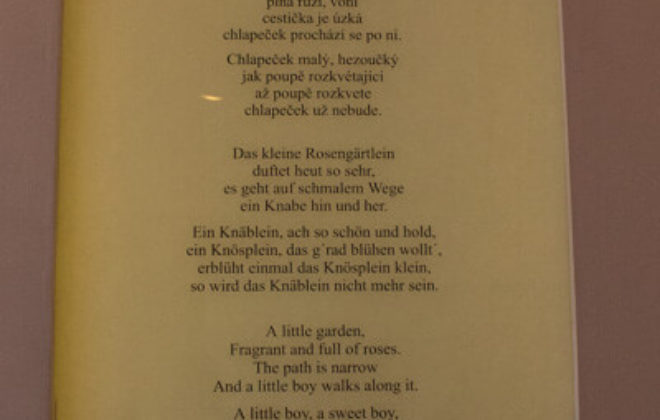 2018_09_Prag_WT_IMG_2134