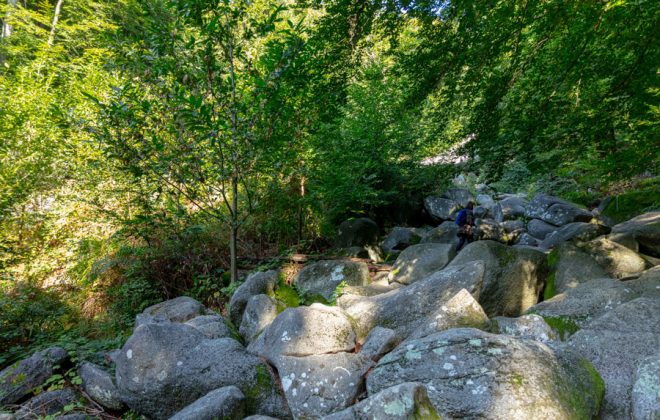 2019_09_Felsenmeer__J2A8883
