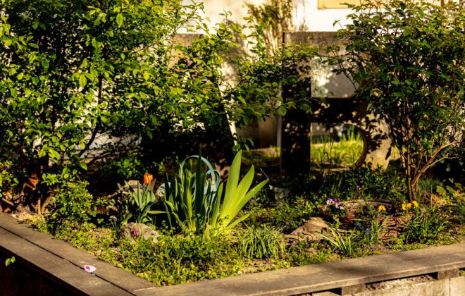 2021_04_Garten_AG__J2A0839