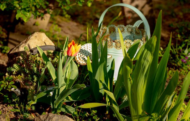 2021_04_Garten_AG__J2A0860