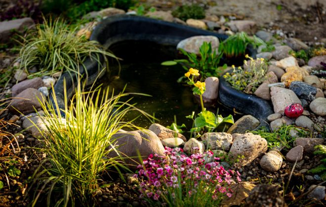 2021_04_Garten_AG__J2A0885