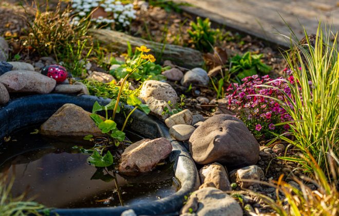 2021_04_Garten_AG__J2A0967