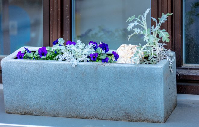 2021_04_Garten_AG__J2A1016