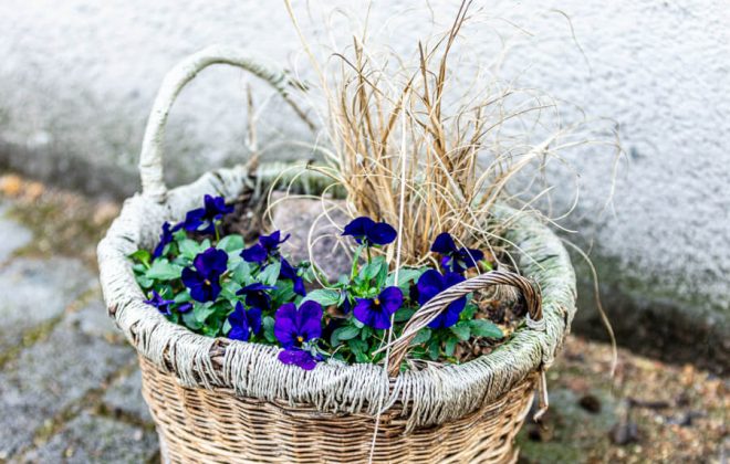 2021_04_Garten_AG__J2A1031