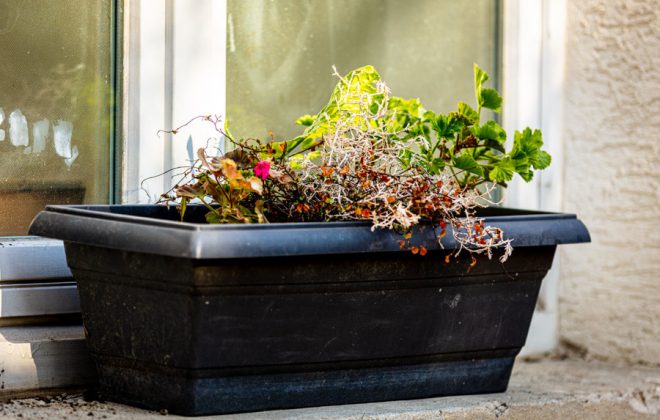 2021_04_Garten_AG__J2A1092