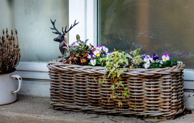 2021_04_Garten_AG__J2A1100