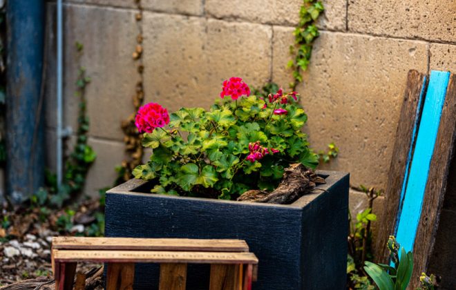 2021_04_Garten_AG__J2A1108