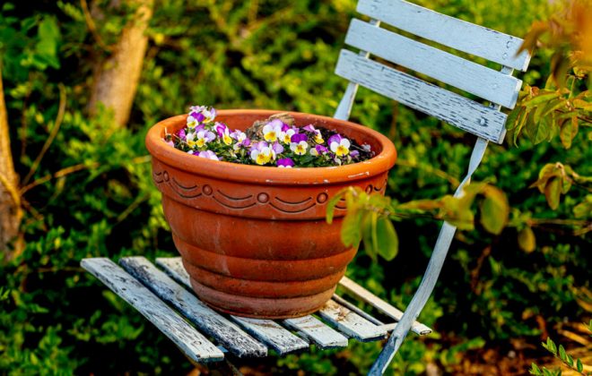 2021_04_Garten_AG__J2A1129