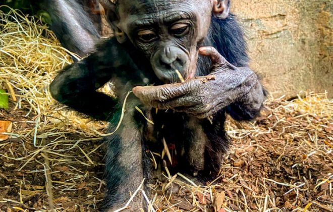 2022_10_Zoobesuch_IMG_4196