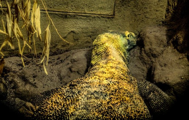 2022_10_Zoobesuch_IMG_6395-