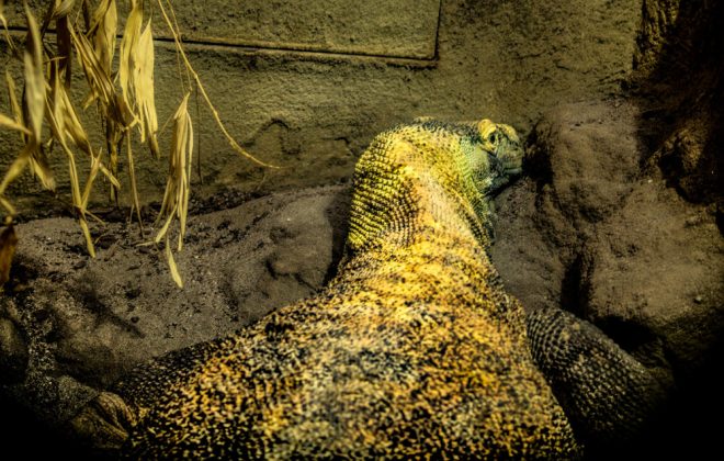 2022_10_Zoobesuch_IMG_6395-Bearbeitet