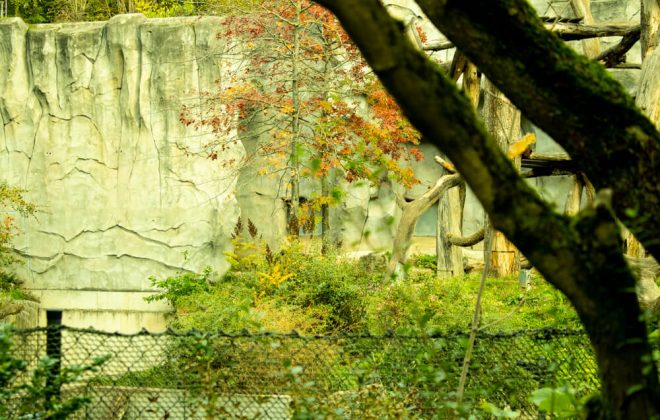 2022_10_Zoobesuch_IMG_8153