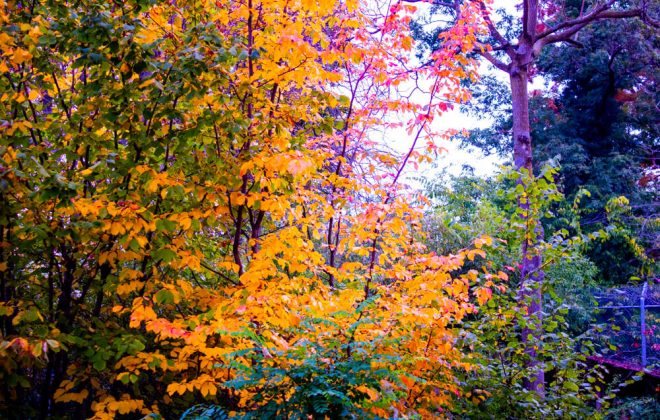 2022_10_Zoobesuch_IMG_8154