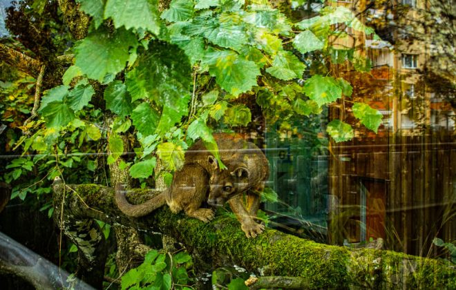 2022_10_Zoobesuch_IMG_8159