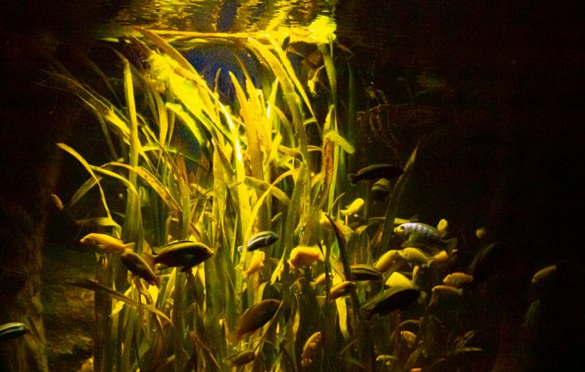 2022_10_Zoobesuch_IMG_8185