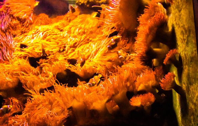 2022_10_Zoobesuch_IMG_8203