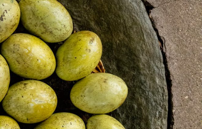 2022_10_Zoobesuch_IMG_8339