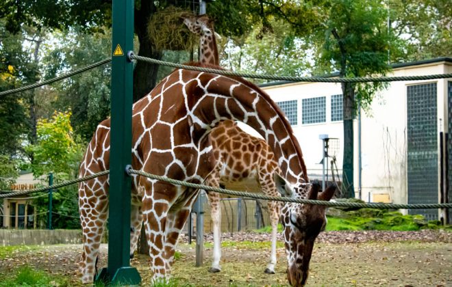 2022_10_Zoobesuch_IMG_8347