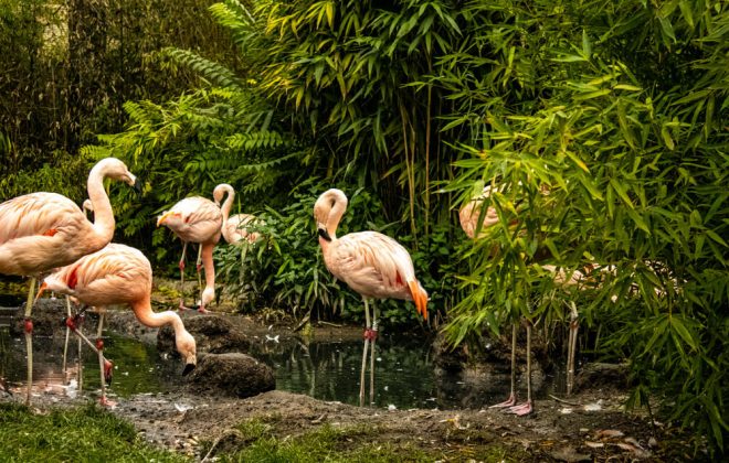 2022_10_Zoobesuch_IMG_8370