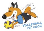 Miniturnier-Serie Volleyball-Region Wiesbaden 2019/2020