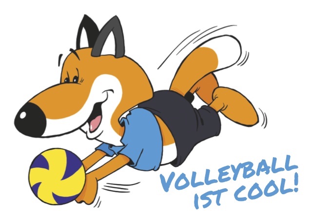 Read more about the article Miniturnier-Serie Volleyball-Region Wiesbaden 2019/2020